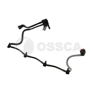 69194 OSSCA