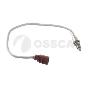 55722 OSSCA