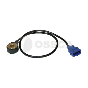 02881 OSSCA