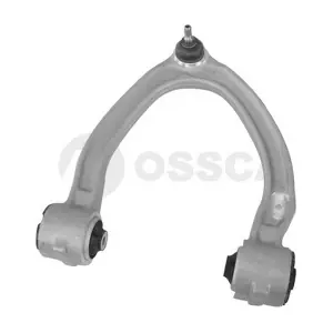 00668 OSSCA