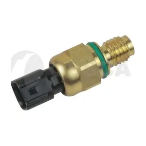 55261 OSSCA