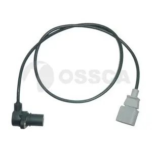 05567 OSSCA