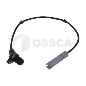13089 OSSCA