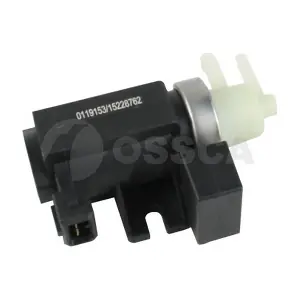 38336 OSSCA