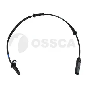 56036 OSSCA