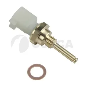 55825 OSSCA