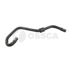55559 OSSCA