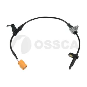 13123 OSSCA