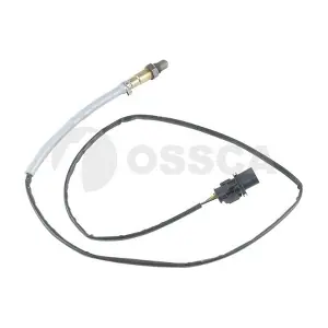 50991 OSSCA