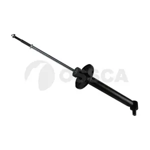 02624 OSSCA