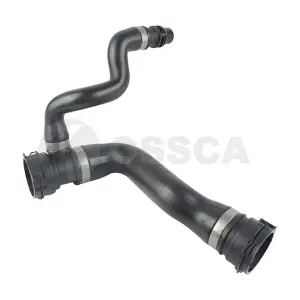 51620 OSSCA