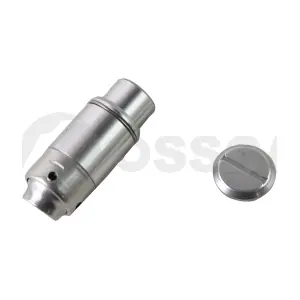 69808 OSSCA