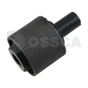 02210 OSSCA