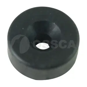 66415 OSSCA
