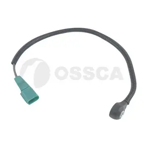 20410 OSSCA