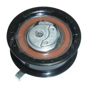 02507 OSSCA