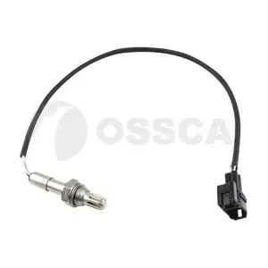 55414 OSSCA