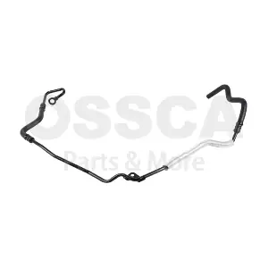 96496 OSSCA