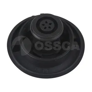 16973 OSSCA