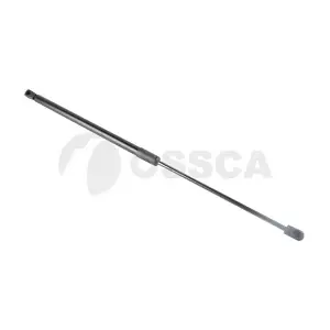 28838 OSSCA