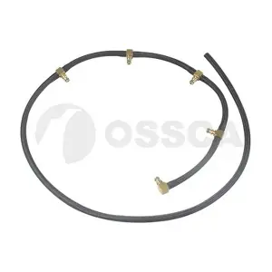 59594 OSSCA