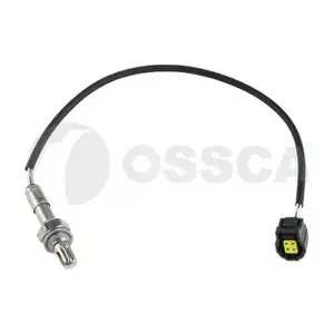41633 OSSCA