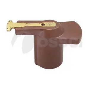 10064 OSSCA