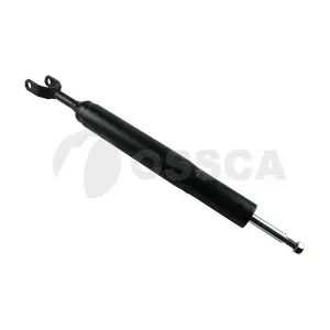 13972 OSSCA