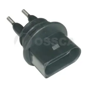 02904 OSSCA