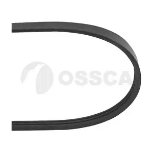 03397 OSSCA