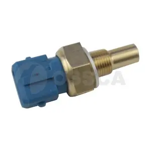 28995 OSSCA
