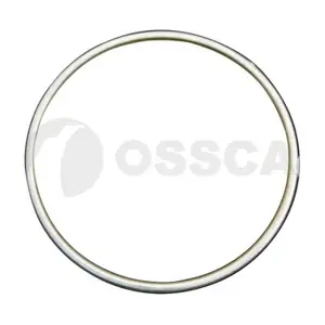 25065 OSSCA