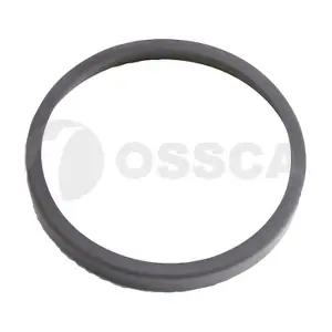 89253 OSSCA