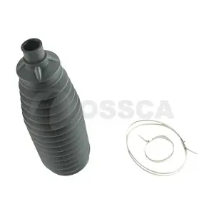 78581 OSSCA