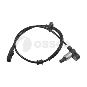08179 OSSCA
