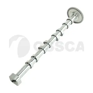 86879 OSSCA