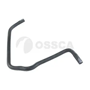 24881 OSSCA