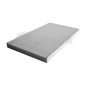 00965 OSSCA