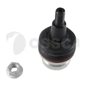 48555 OSSCA