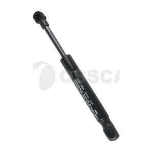 22921 OSSCA