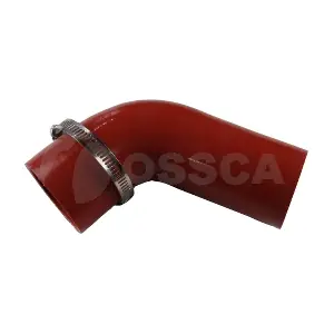 85665 OSSCA