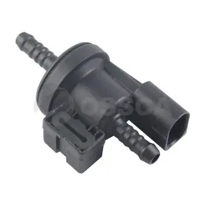 25709 OSSCA