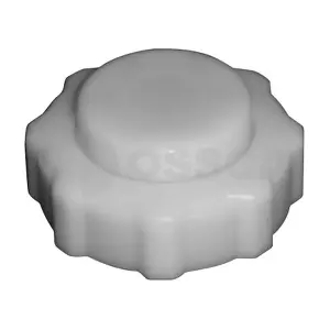 06246 OSSCA