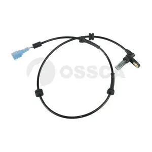 20251 OSSCA