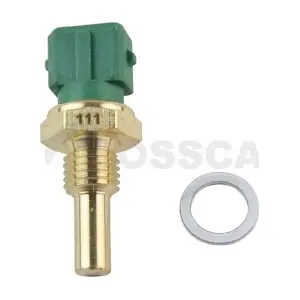 24563 OSSCA
