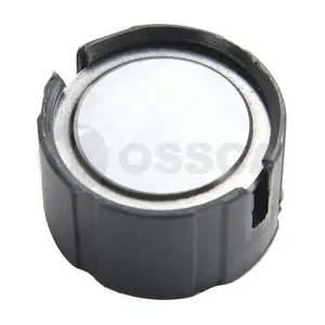00738 OSSCA