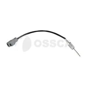 24604 OSSCA