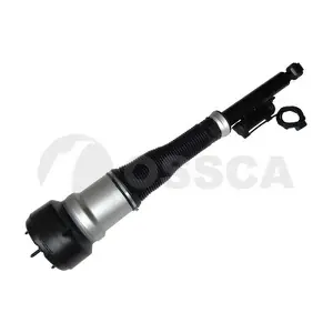 25931 OSSCA