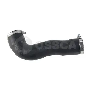 47542 OSSCA
