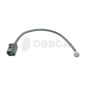 31921 OSSCA